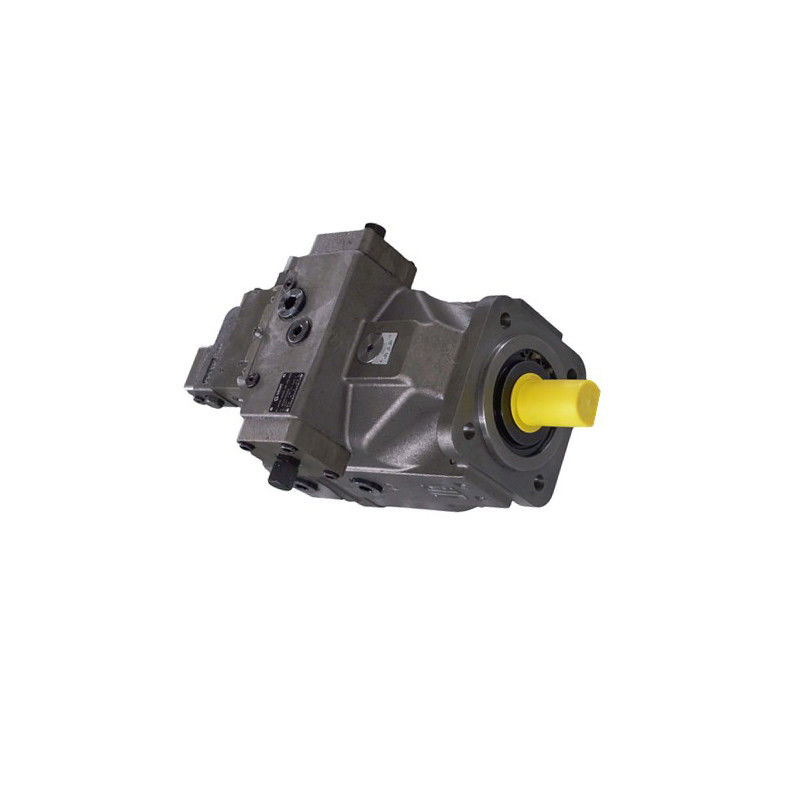 TEM Cast Iron A10VSO18DR 31R-PPA12NOO Hydraulic Main Pump